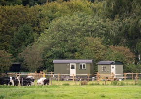 Shepherds Huts Tansy & Ethel in rural Sussex
